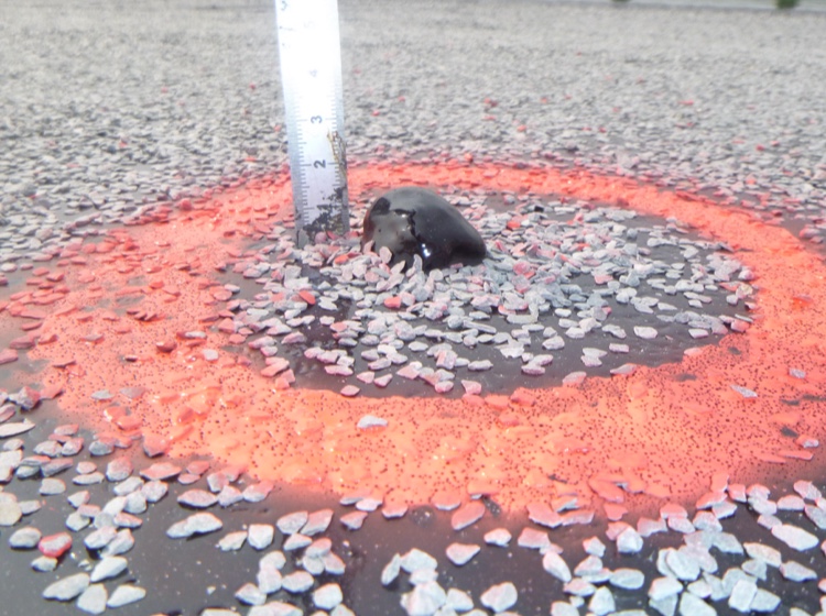 controle-exterieur-refection-etancheite-rn25-viaduc-jules-verne-galerie-03