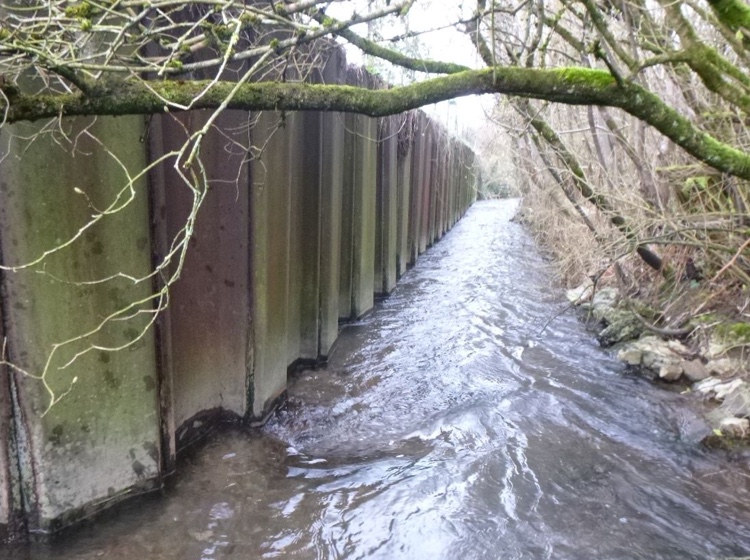 diagnostic-palplanches-pont-brabant-tronville-en-barrois-galerie-01