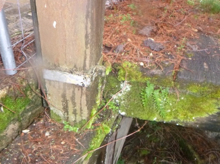 diagnostic-plomb-passerelle-bois-chateau-sully-sur-loire-galerie-03
