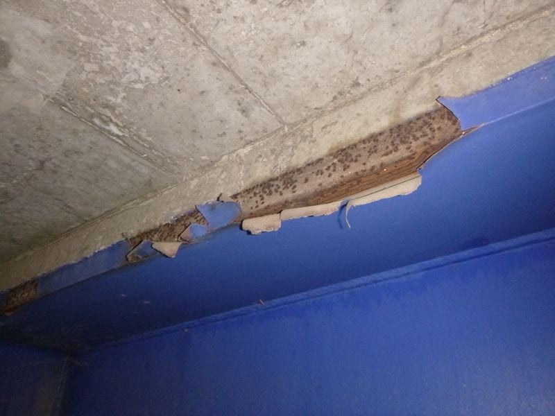 diagnostic-oa15-sur-rd917-culee-ouest